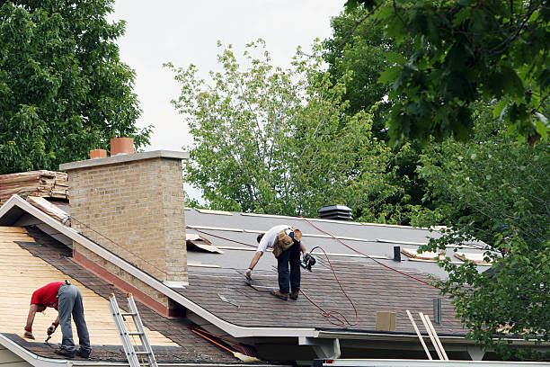 Best Best Roofing Contractors  in Warren, MI