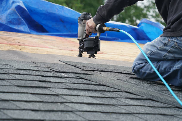Best Flat Roof Repair Services  in Warren, MI